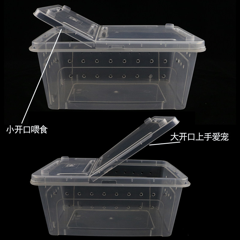 [USD 5.93] Scum box crawling pet box guarding palace lizard spider ...