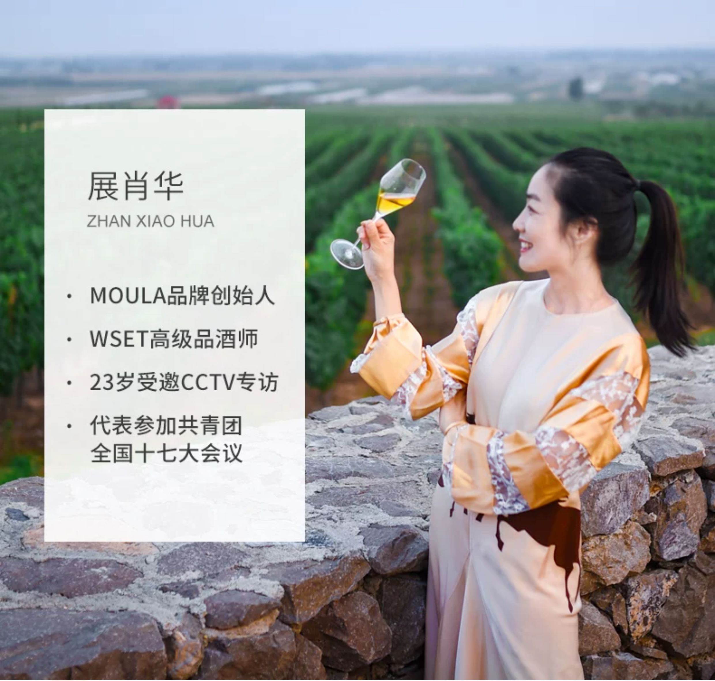 安享好物 安享E级葡萄酒-慕拉赤霞珠 半甜葡萄酒 国标 