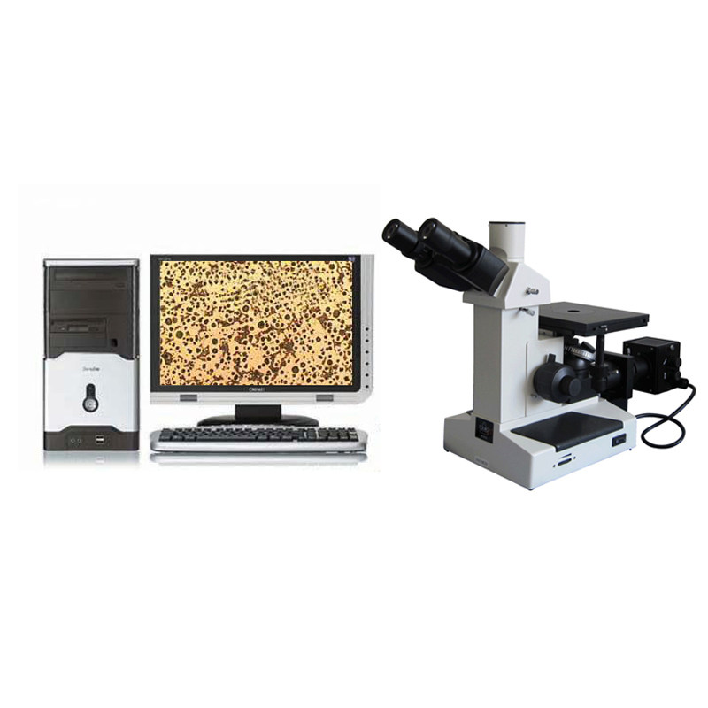 Byes Bang 100 million 4XD-FX Gold Phase Automatic Analysis Microscope Steel Cast Metal Tissue Structure