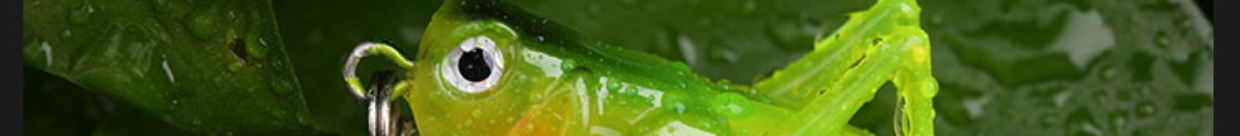 Đường mới ya mồi bầy châu chấu mồi cứng 蟋蟀 côn trùng thức ăn cá câu cá ngồi xổm miệng 鲈 bait mồi cỏ đen túi đựng cần câu cá