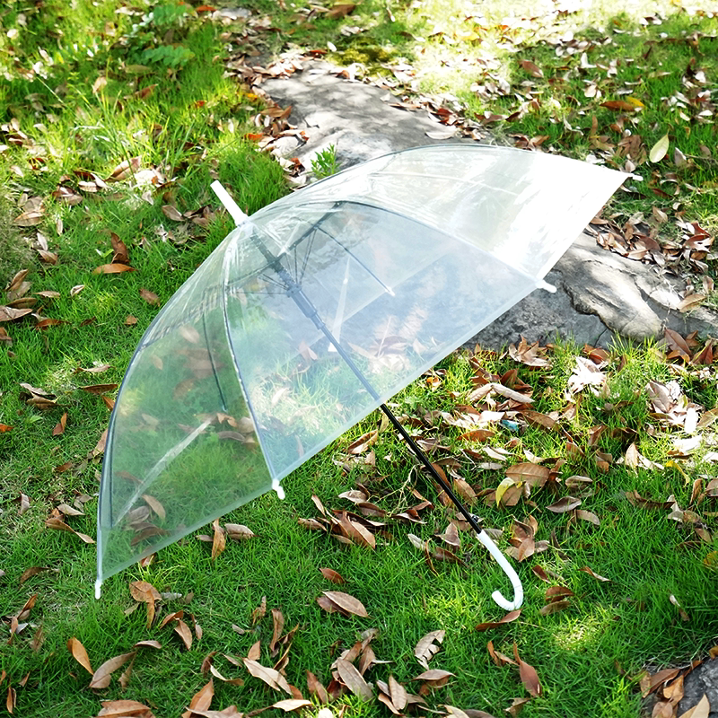 Creative and Fresh-Style Transparent Umbrella with Curved Handle and Straight Shaft, Disposable Umbrella, Student Umbrella, Logo Advertising Umbrella Creative and Fresh-Style Transparent Umbrella with Curved Handle and Straight Shaft, Disposable Umbrella, Student Umbrella, Logo Advertising Umbrella