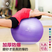 Yoga bóng mới bắt đầu đào tạo thể thao đa chức năng đào tạo phục hồi chức năng thiết bị phục hồi chức năng sinh con phòng tập thể dục hộ sinh - Yoga