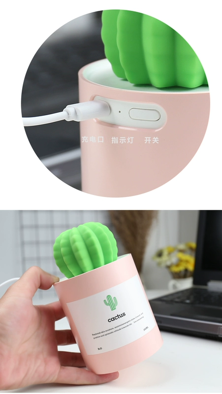"Vui trong này" Máy tạo độ ẩm Prickly Pear USB Máy câm tại nhà văn phòng nhỏ cầm tay nhỏ gọn - Máy giữ ẩm