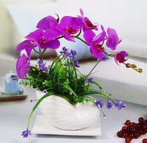 Fake flower imitation flower Phalaenopsis set potted home living room dining room bedroom decoration ornaments silk flower plastic flower