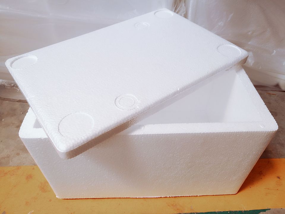 Shanghai Fruits China Signs Up Plus High Foam Box Frozen Food Incubator Special Price Manufacturers Wholesale