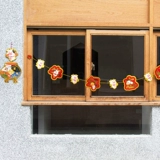 2021 Новый год весеннего фестиваля