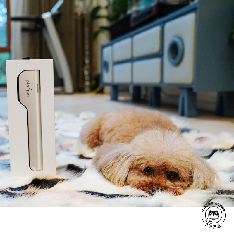 Korean Genealogy Appaet Plasma Body Pet Skin Care Instrument Massage Instrument Deodorising Skincare 4-Color In