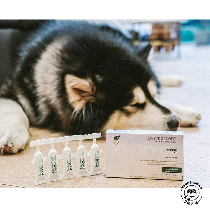 French Demeise Dermocrent Net Dog Cat with drop ear fluid acute and chronic external otitis 10 boxes