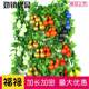 Simulation gourd vine fruit rattan decoration fake vegetables simulation plant grape leaves hanging roof air conditioning pipe