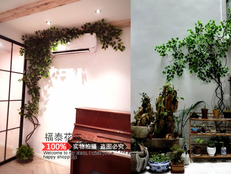Mô phỏng Hoa Wisteria Hoa giả Hoa Violet Cây trần Hoa Vine Vine Trang trí đám cưới Hoa Chuỗi Chuỗi Hoa Vine Bean - Hoa nhân tạo / Cây / Trái cây lan giả hạc đột biến