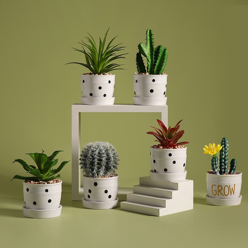 Nordic Creative Emulation Plant Green Plant Multi-Meat Potted Cactus Pins Decorations Small Bonsai Desktop Pendulum 124