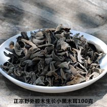 Qingchuan farmers produce their own wild Qinggang basswood growth autumn and winter fungus dry goods small black fungus 100g soil bulk