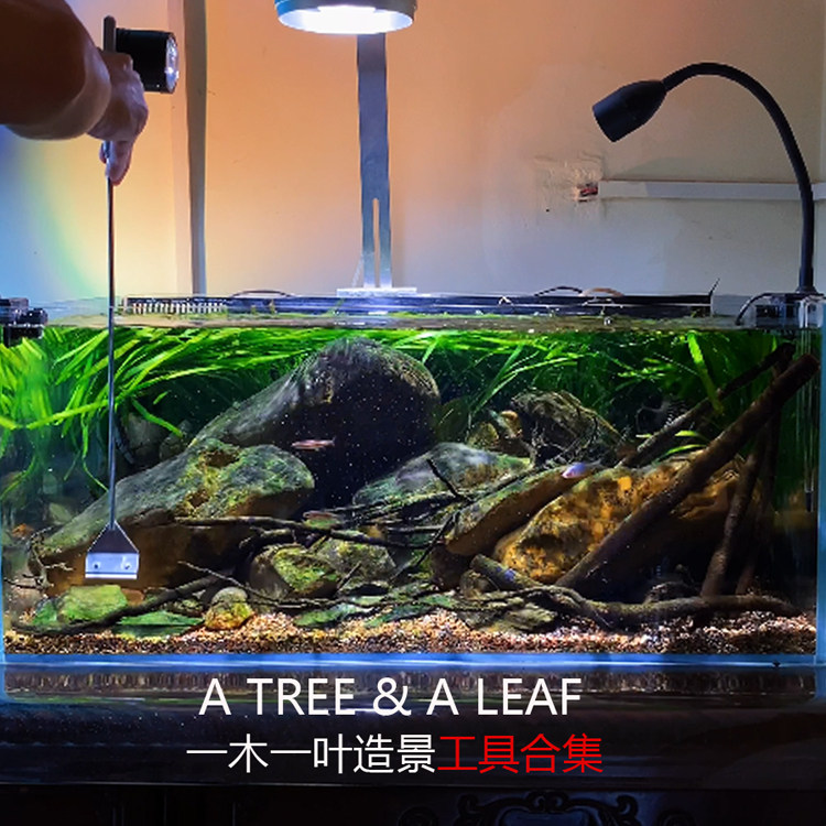 Grass tank tool Water grass tweezers scissors scissors clip flat sand shovel scraper straight shear shear straight tweezers