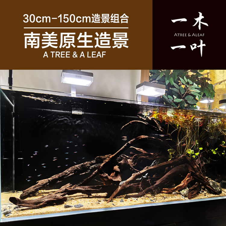 Sunken Wood, Landscaping Wood, Native South American Landscaping, Comes with Vines, Eucalyptus Leaves, Sunken Wood Combination, Rhododendron Roots Sunken Wood, Landscaping Wood, Native South American Landscaping, Comes with Vines, Eucalyptus Leaves, Sunken Wood Combination, Rhododendron Roots