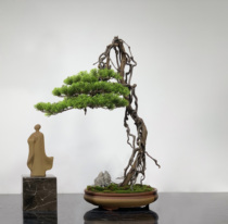 Zen Xuan set ornaments new Chinese hotel soft installation simulation welcome pine Willow landscape office bonsai plant