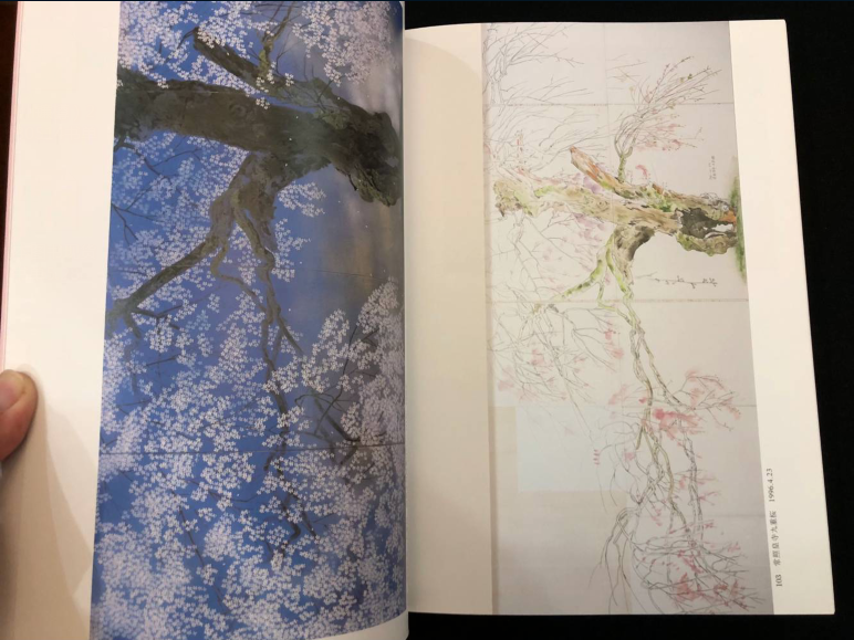 緣來】日版中島千波さくら図鑑中島千波櫻花圖鑒畫集| 露天市集| 全台