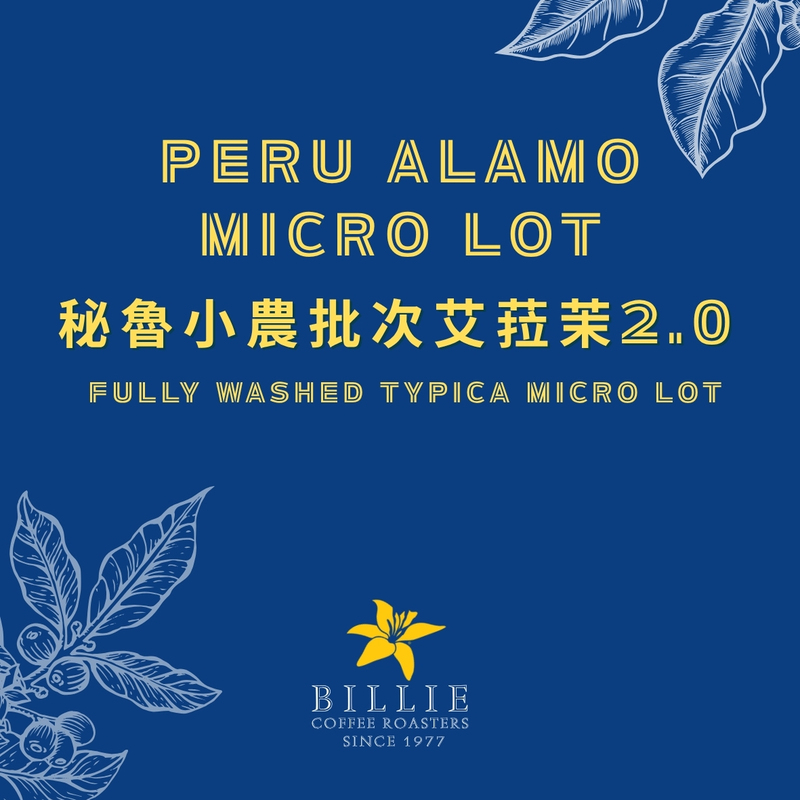 Peruvian Small-Scale Farmer's Premium Product, Ailamo, Delicately Washed, New Season, Roasted on Order, Manufactured by Billiecafe