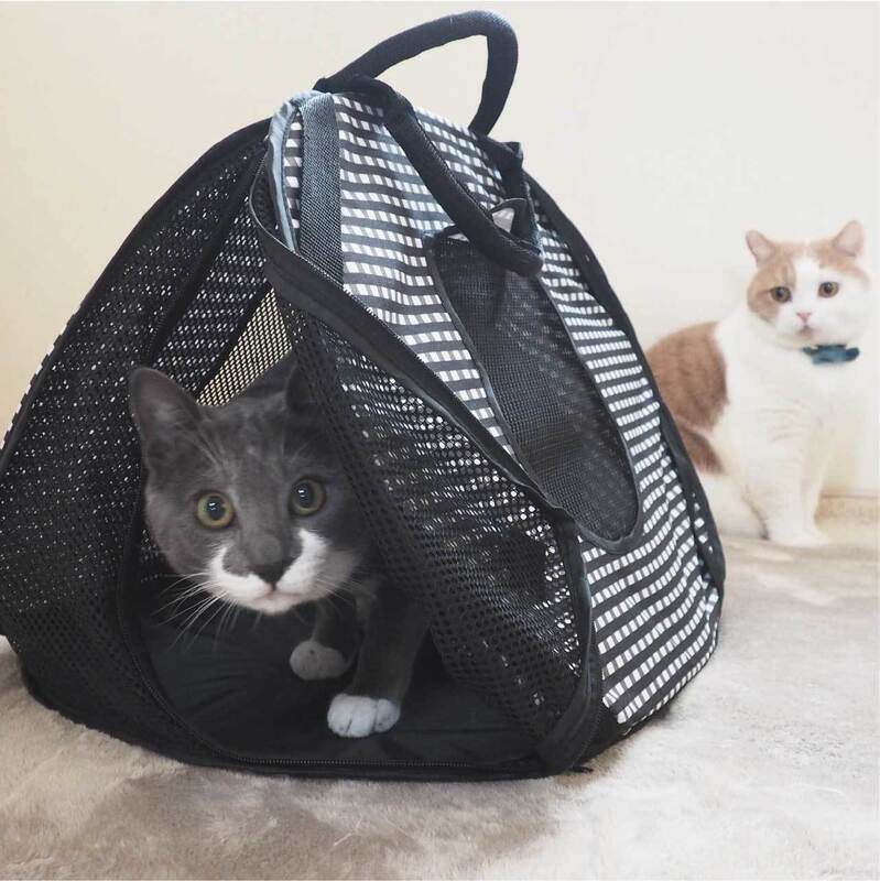 【Meow Empress】Japanese Original Imported Cat Carrier Foldable Portable Cat Travel Bag / Cat Calming Net 【Meow Empress】Japanese Original Imported Cat Carrier Foldable Portable Cat Travel Bag / Cat Calming Net