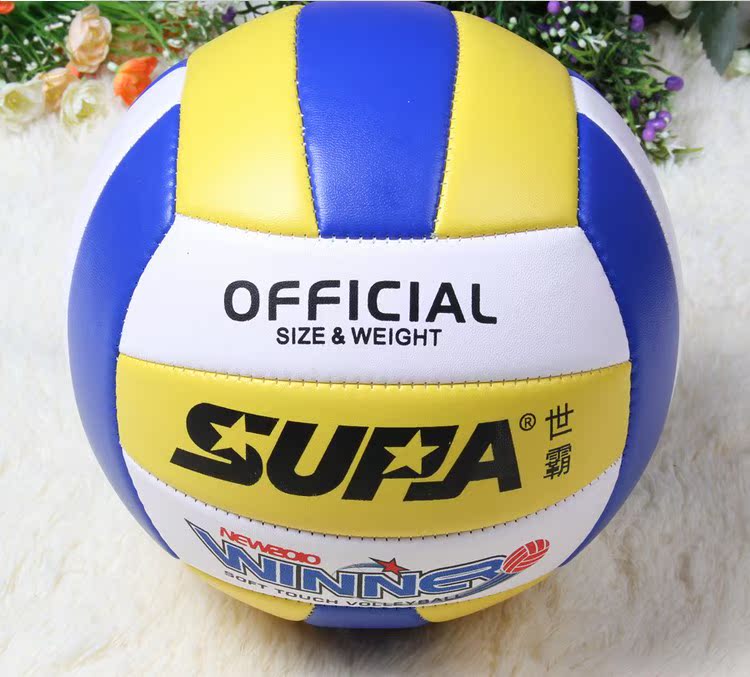 Ballon de volley - Ref 2010224 Image 26