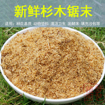 Natural cedar sawdust powder sawdust shavings Pet litter wood powder Wood grain cultivation Hand washing filled sandbags Fermentation bed