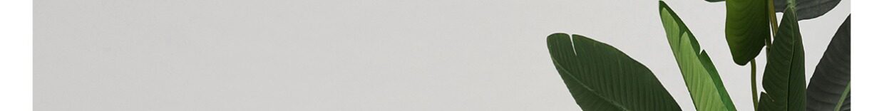 Китайцы одежда наборы 【上遥居】晚云间  宋制 原创汉服 女 春夏款 白色百迭长裙 内搭