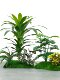 Simulated Green Plants for Landscaping, Indoor Landscaping, Window Display Scene Layout, Moss, Artificial Plants for Decoration, Fake Trees under Stairs