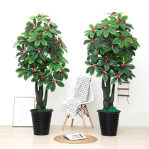 Fortune Tree Merchants Fake Trees Cherry Golden Orange Trees Emulated Flowers Tree Fruit Tree Potted Large Living Room Interior Decoration Green Plant