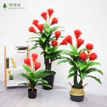 Plastic simulation flowers Hongkyun When the head large potted plant green planting fake flower living-room floor decoration bonsai fake tree indoor