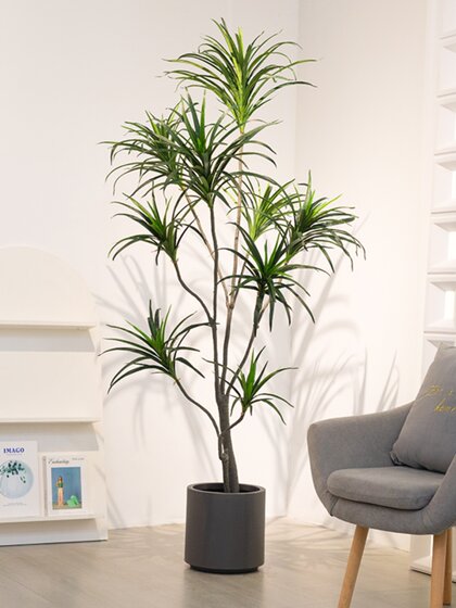 Nordic ins Style Artificial Green Plant Dragon Blood Tree Millennium Tree Fake Green Plant Potted Multi-Head Indoor Floor Decoration for Living Room