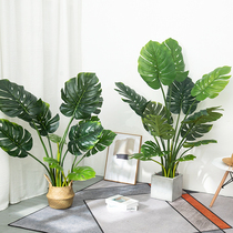 Nordic large emulation green plant Ins brigade Banana Tortoise Back Leaf Bamboo Fake Plant Indoor Floor Decoration Potted Plant Pendulum