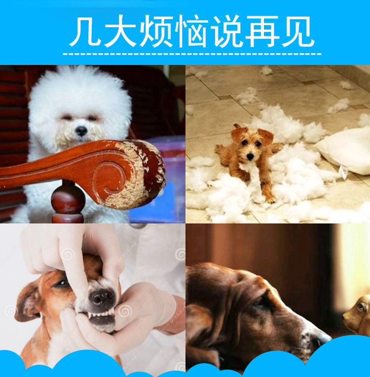 Con chó đồ chơi bông vàng tóc cắn mol đồ chơi vocal đồ chơi lớn vừa và nhỏ con chó đồ chơi vật nuôi mèo đồ chơi đồ chơi cho cún