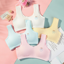 Hair Development Period Little Vest Girl Bra Youth Junior High School Student 12-16 Year Old High School Girl Girl Girl Underwear