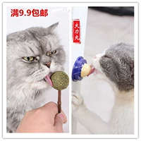 Cat Pudding Cat Candy Mint Pills Mèo Snacks 舔 糖化 毛 球 Thưởng đồ ăn nhẹ - Đồ ăn nhẹ cho mèo thức ăn cho mèo con 2 tháng tuổi