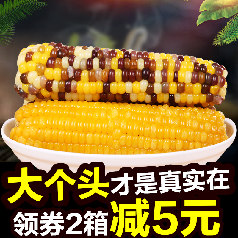 (Color 5 yellow 5)Lu Yin yellow color sweet glutinous corn fresh pick sticky sticky old corn stick vacuum grains 10