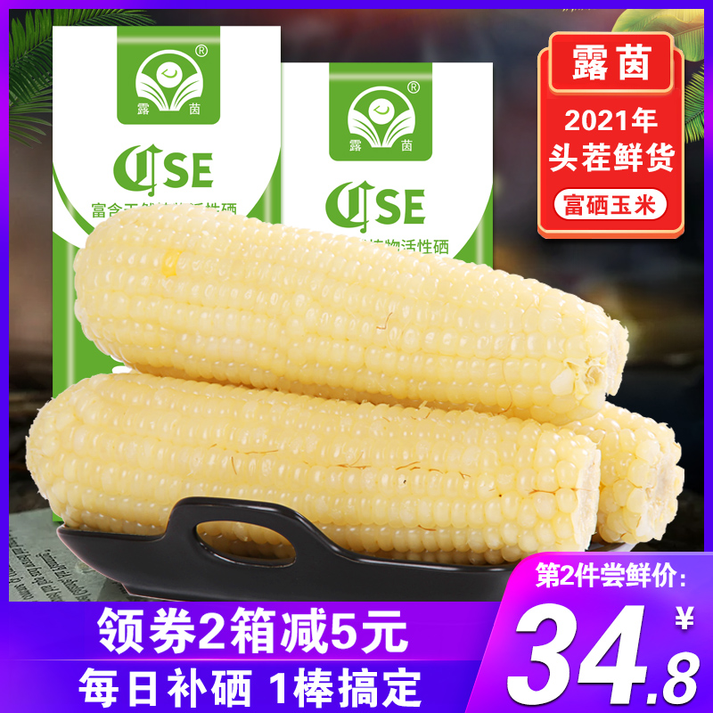 Selenium-enriched corn] Selenium-rich sweet waxy small corn cob fresh waxy corn sticky picking vacuum non-Northeast 8 roots