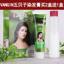 VANGIN five beetle colorful hair cream covering white hair natural not stimulating natural black chestnut brown coffee grape purple