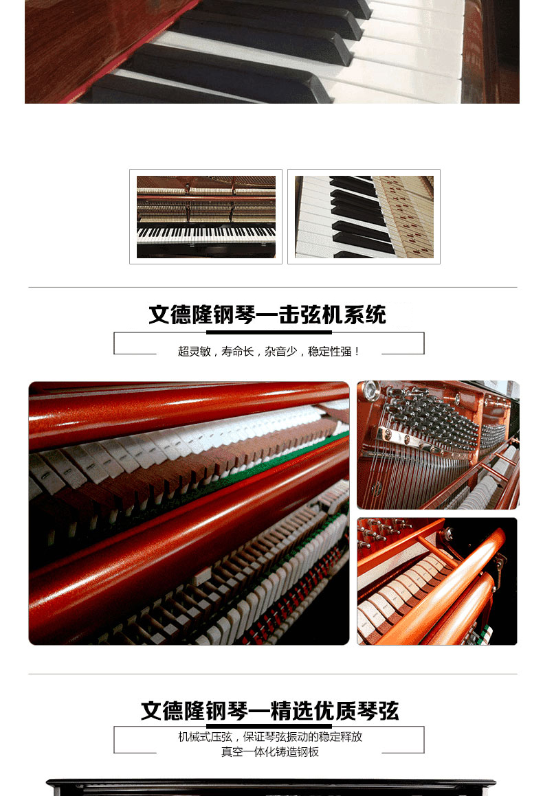 Helen piano Áo hợp tác thương hiệu Wen Delong hiệu suất mới chuyên nghiệp đàn piano thẳng đứng W126 dương cầm