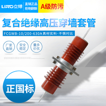 10KV composite wall casing FCGWB-12 200A400A630A high voltage outdoor embedded copper conductor FCR