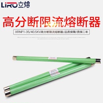 High voltage current limiting fuse XRNP1-35KV 0 5A1A2A3 indoor transformer sub-capacity PT fuse tube