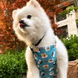 Летнее охлаждающее дудоу, сумка для льда, охлаждающий жилет