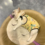 Физиологические штаны для домашних животных Мать Теде Корги Дуйу Дубабе Слуша