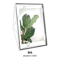 Призма-хромий 10 дюймов