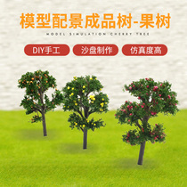 Building model sand table material orchard scene model material model background ring art model tree landscape tree tree tree tree fruit tree