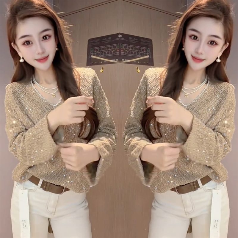 Korean-Style Elegant Sequined V-Neck Lace Blouse, Light Luxury Fashion, Shiny Sequin Top, Trendy and Stylish Korean-Style Elegant Sequined V-Neck Lace Blouse, Light Luxury Fashion, Shiny Sequin Top, Trendy and Stylish