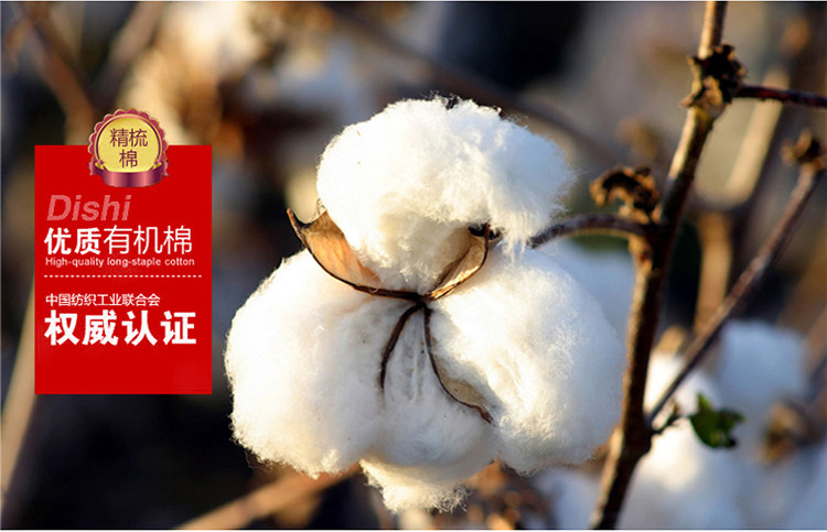 Pantalon collant Moyen-âge simple en coton - Ref 774992 Image 9