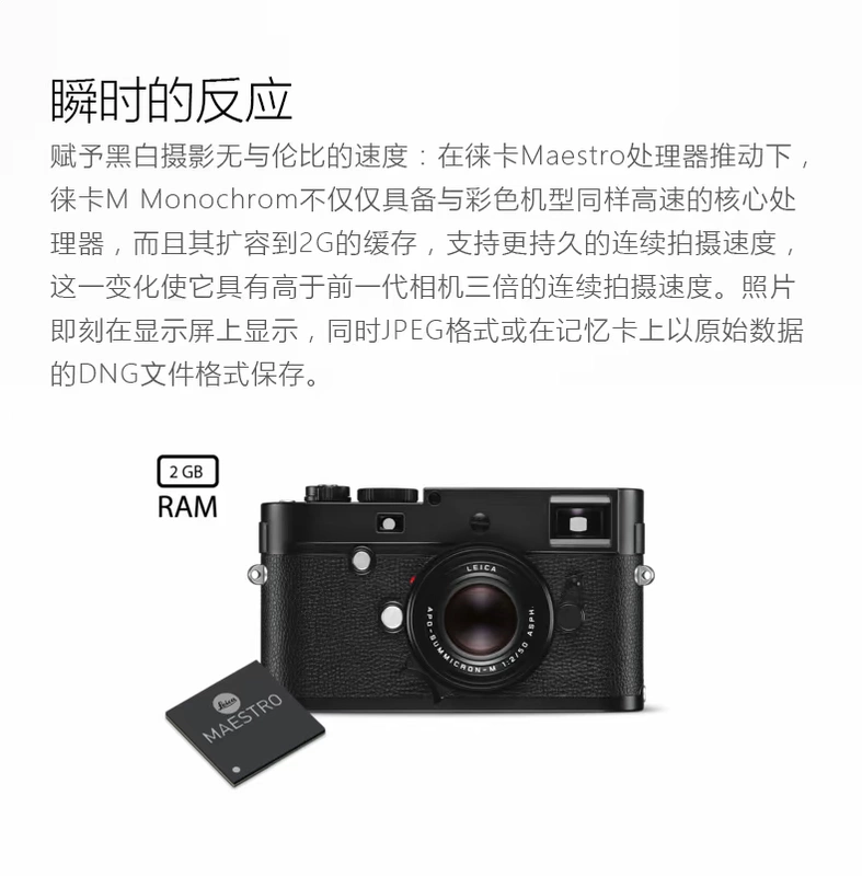 Leica / Leica LEICA M Monochrom (Loại 246) Camera đen trắng phạm vi 10930 - Máy ảnh kĩ thuật số