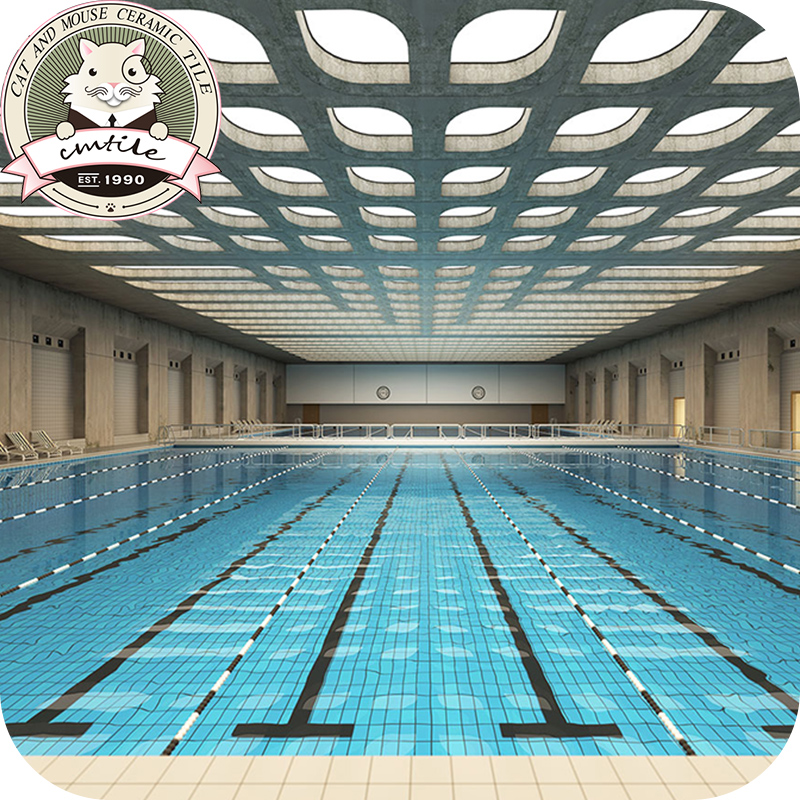 Standard Blue Swimming Pool Brick 115 * 240MM National Coliseum Swimming pool Jumping Water Gallery Engineering Exclusive