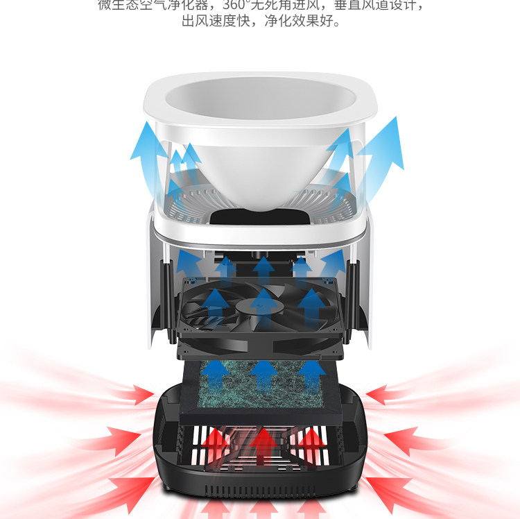 净化器绿植-恢复的_13.jpg