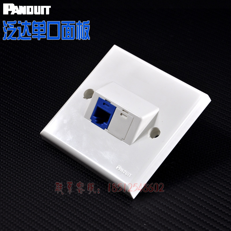 PANDUIT original quality Panduit single-port panel dual-port four-port network information panel CFP86S2