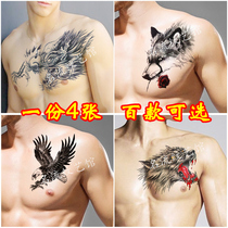 Tattoo sticker waterproof male long-lasting flower arm Korean personality wolf head over shoulder dragon chest leg arm scar simulation tattoo